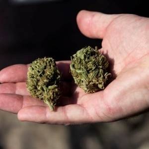 В штате Нью-Йорк легализовали употребление марихуаны