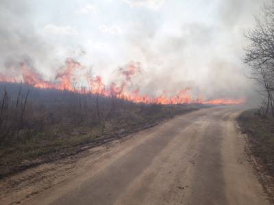 В Киеве начались масштабные пожары в экосистемах