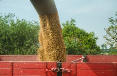 Украина отправила на экспорт более 35 млн т зерна