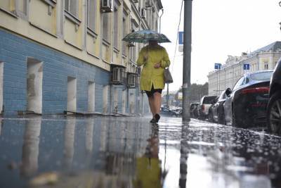 Дождливая ветренная погода ожидает москвичей в выходные