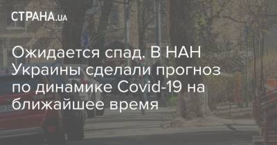 Ожидается спад. В НАН Украины сделали прогноз по динамике Covid-19 на ближайшее время