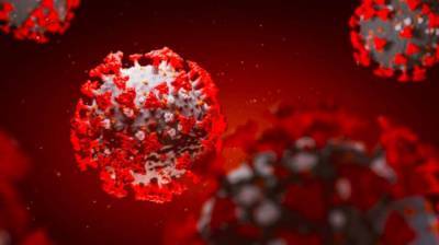 Во Франции обнаружили новый более заразный штамм коронавируса