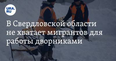 В Свердловской области не хватает мигрантов для работы дворниками