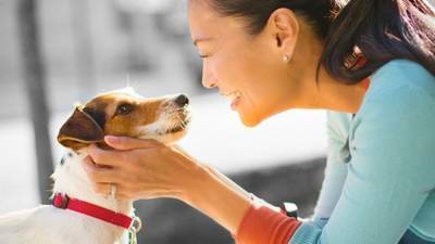 Чем кормить собак малых пород: 3 недели – видимый результат с Purina ONE® - 24tv.ua