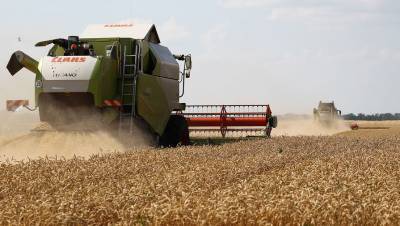 Украина запретила импорт пшеницы и подсолнечного масла из России