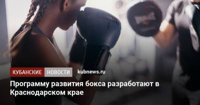 Программу развития бокса разработают в Краснодарском крае