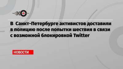 В Санкт-Петербурге активистов доставили в полицию после попытки шествия в связи с возможной блокировкой Twitter