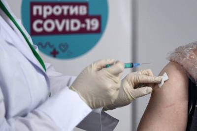 В Госдуме поддержали идею ввести систему прививочного туризма в России