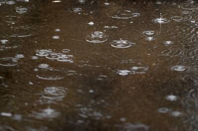 Синоптики спрогнозировали обильные дожди в Москве