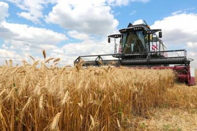 Украинские власти запретили ввоз пшеницы и подсолнечного масла из России