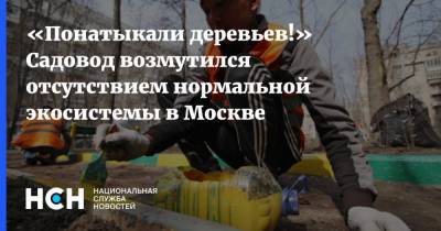 «Понатыкали деревьев!» Садовод возмутился отсутствием нормальной экосистемы в Москве