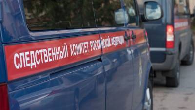 СК заявил о задержании подозреваемых в жестоком убийстве подростка в Солнечногорске