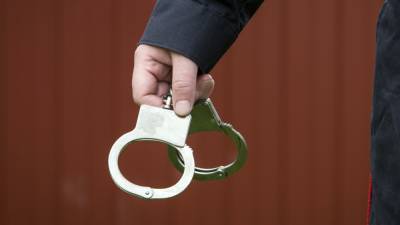 Полиция задержала предполагаемых убийц подростка в Солнечногорске