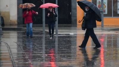 Дождь в Москве 31 марта стал самым сильным за полвека