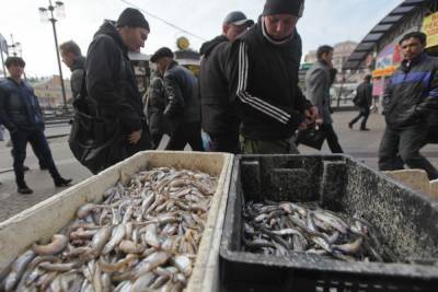 В клубе рыбаков Петербурга объяснили высокие цены на корюшку