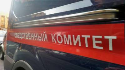 Возможных убийц студента задержали в Солнечногорске