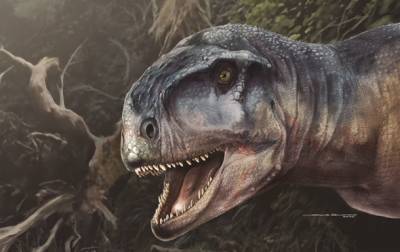 В Аргентине нашли новый вид динозавров-хищников