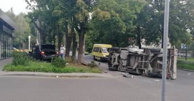 Калининградцы собирают подписи за обустройство тротуара и светофора на Красносельской
