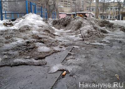 "По колено воды". Наталья Комарова осталась недовольна уборкой снега в Сургуте