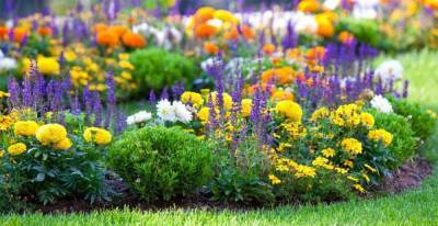 В Чехове высадят более 210 тысяч цветов