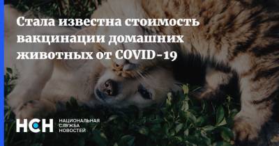 Стала известна стоимость вакцинации домашних животных от COVID-19
