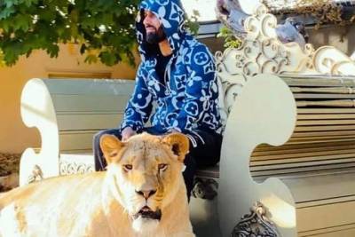 Депутат горсовета Харькова задекларировал льва, фото