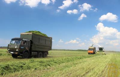 В Полтавской области на орошении будут выращивать корма для КРС