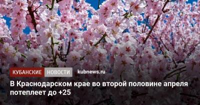 В Краснодарском крае во второй половине апреля потеплеет до +25