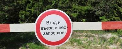Жителям Волгоградской области запретили посещать леса