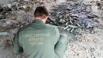 Опубликовано видео из дома устроившего стрельбу жителя Мытищ
