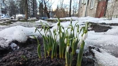 Вильфанд рассказал по погоде на апрель в России