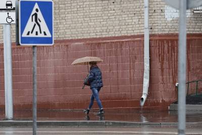 Сугробы осели на 2-5 сантиметров из-за прошедших дождей в Москве