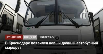 В Краснодаре появился новый дачный автобусный маршрут