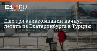 Еще три авиакомпании начнут летать из Екатеринбурга в Турцию