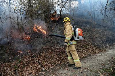 Путин оценил ситуацию с природными пожарами и паводками в регионах