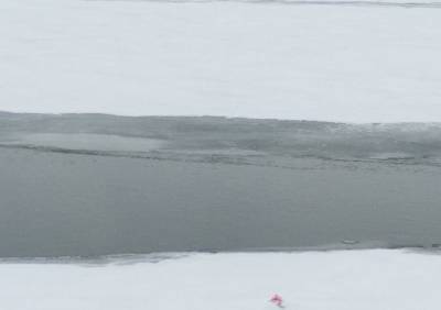 В Пронском районе два рыбака провалились под лед