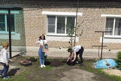 Мичуринск присоединится к Международной акции «Сад Памяти»