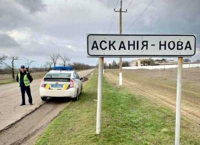Более 60 мертвых серых журавлей: в "Аскании-Новой" снова массово гибнут краснокнижные птицы