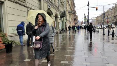Мелкий дождь ожидается в Петербурге 1 апреля