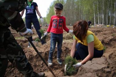 Удмуртия заняла 10-е место среди регионов России по объемам искусственного лесовосстановления