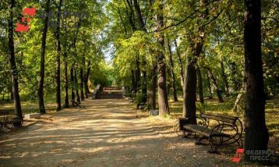 Несколько парков Петербурга спасли от застройки