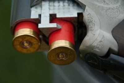 Устроивший стрельбу в Подмосковье получил лицензию на оружие законно