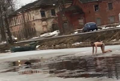 Видео: смельчак бросился на помощь тонущей собаке в Новой Ладоге - online47.ru - Новая Ладога