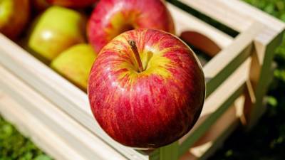 Нейросеть научили определять свежесть яблок
