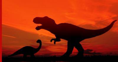 "Внушающего страх" хищного динозавра открыли палеонтологи в Аргентине
