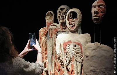Возрастной ценз московской выставки "Мир тела" повышен до 18+