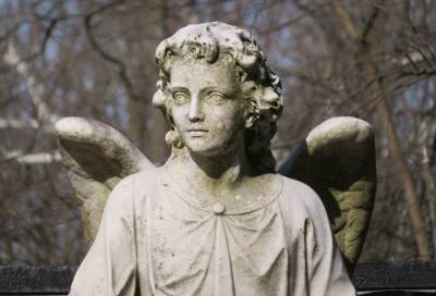 В Петербурге задержали серийного вандала, разрушавшего надгробные фигуры ангелов