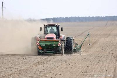 Сев яровых культур в Беларуси планируется провести на 2,4 млн га