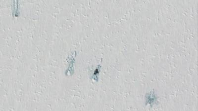 Проломившую лед в Арктике российскую подлодку сняли со спутника — фото