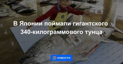 В Японии поймали гигантского 340-килограммового тунца